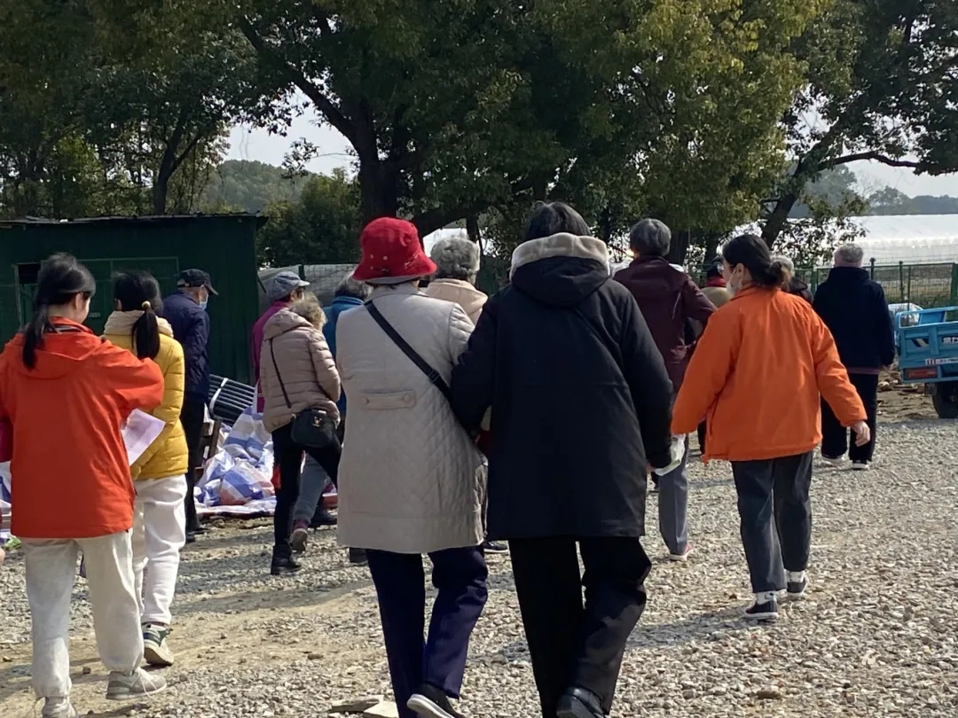 三八妇女节快乐——共赴甜莓约会，乐享自然美好